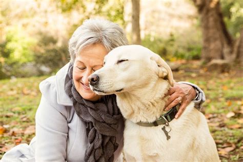 pet insurance for senior citizens